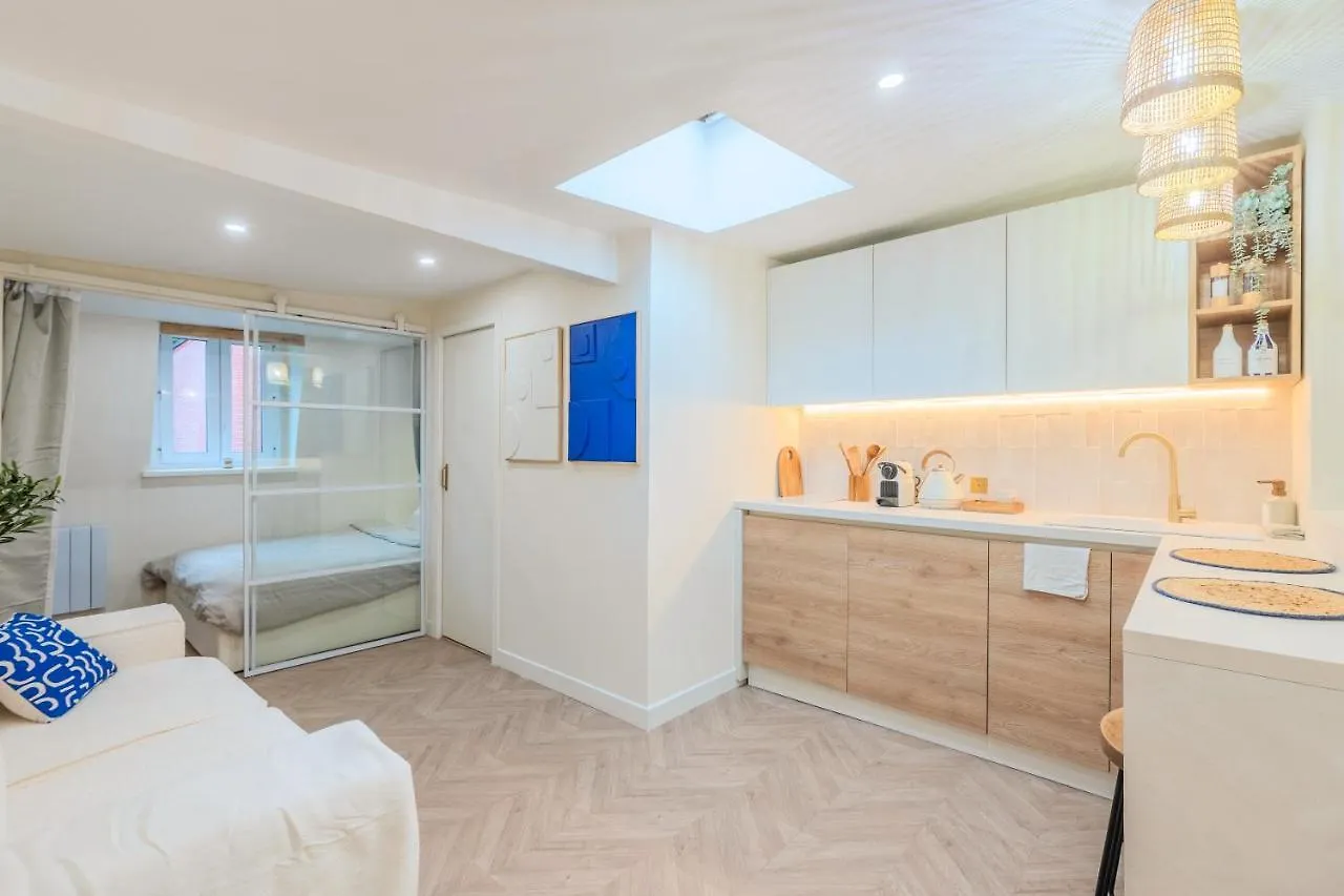 Studio Duplex Standing Centre - Lille Aux Bleuets Apartment